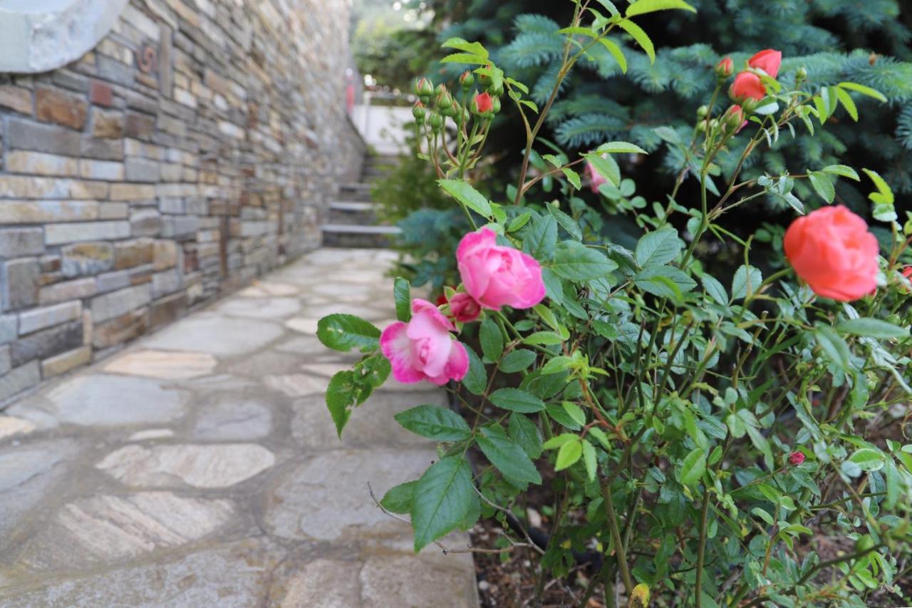 Vila Belle Maison Kavala Exteriér fotografie