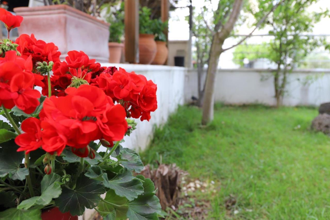 Vila Belle Maison Kavala Exteriér fotografie